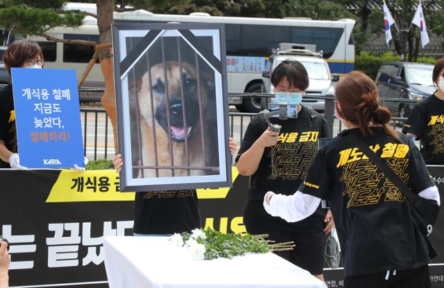 동물보호단체 회원들이 초복을 맞아 16일 오전 청와대 분수대 앞에서 개식용 금지를 촉구하는 퍼포먼스를 하고 있다. 뉴시스