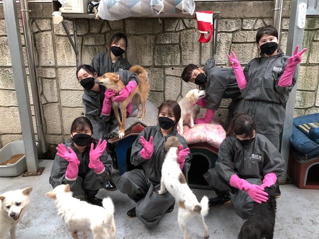 GS리테일의 유기동물 전문봉사단 'GS펫러버' 회원들이 지난 해 7월 경상남도 창원에 있는 유기견 보호센터를 방문해 사회공헌 활동을 펼친 뒤 기념촬영을 하고 있다. GS리테일 제공