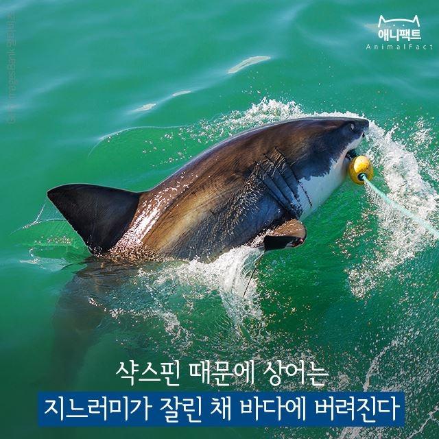 한국일보 자료사진