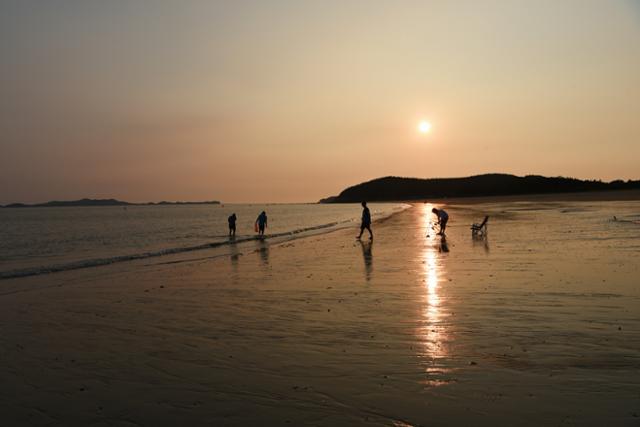 붉은 노을이 떨어진 원산도해수욕장에서 여행객들이 해변 산책을 즐기고 있다. 곱고 단단한 모래사장이 1.8km 펼쳐진 원산도의 대표 해수욕장이다.