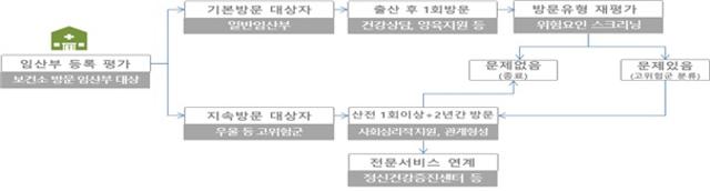 생애 초기 건강관리 시범사업 서비스 절차. 보건복지부 제공