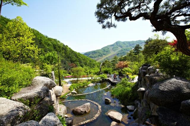 곤지암 화담숲. 경기도 제공