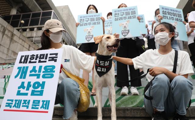 동물해방물결 등 동물권단체 회원들이 22일 세종문화회관 앞에서 개 도살 금지 기자회견을 하고 있다. 회견장 앞의 개는 도살장에서 구조된 '설악'.연합뉴스