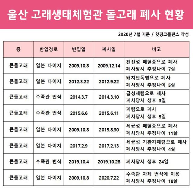 울산 고래생태체험관 돌고래 폐사 일지. 핫핑크돌핀스 제공