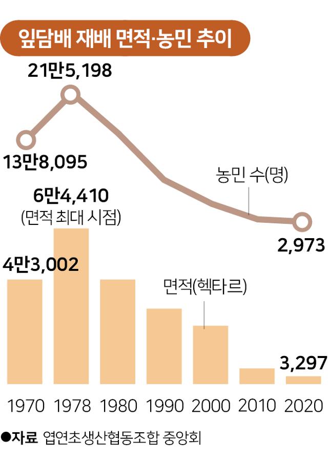 잎담배 재배 면적·농민 추이. 그래픽=송정근 기자