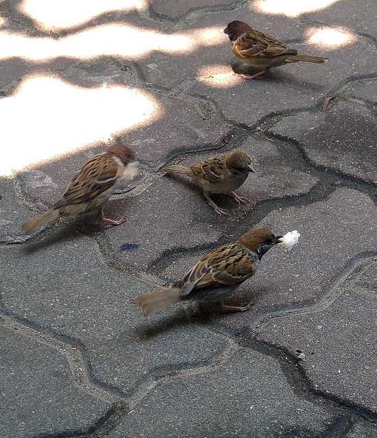 한국일보 자료사진