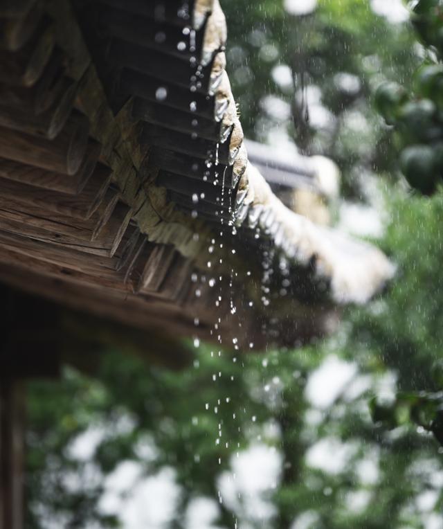 황산전통한옥마을 어느 집 처마로 빗물이 떨어지고 있다. 낙수 소리는 전통 가옥에서만 즐길 수 있는 여름의 운치다.