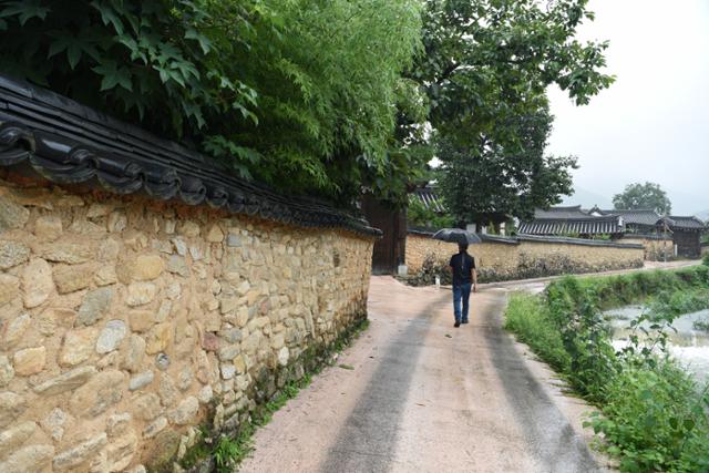 황산전통한옥마을의 70여 가구는 정겨운 토담으로 골목을 이루고 있다. 느긋하게 걸으면 조선시대로 돌아간 듯한 착각에 빠진다.