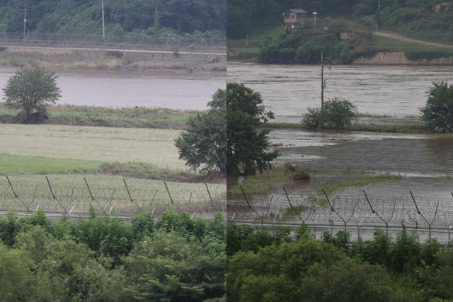 오른쪽 사진은 지난 11일 장마로 임진강 하류에 물이 불어나 강 근처 농경지가 잠긴 모습이며, 왼쪽 사진은 13일 수위가 잠시 안정되자 평소처럼 모습을 드러낸 농경지의 모습이다. 연합뉴스