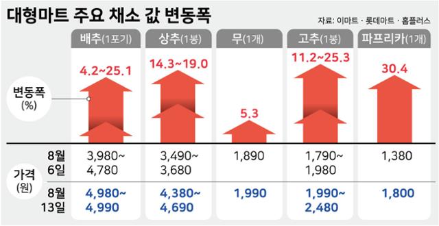 대형마트 주요 채소 값 변동폭