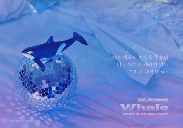 세정이 디지털 싱글 ‘Whale’의 리릭 티저 이미지를 공개했다. 젤리피쉬엔터테인먼트 제공