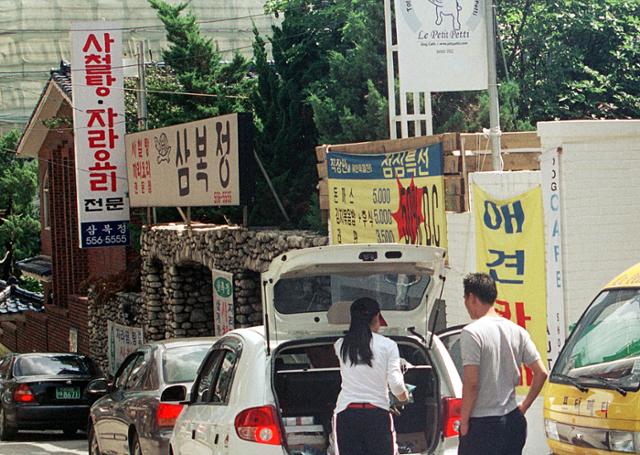 2003년 8월 13일 애견카페와 보신탕집. 한국일보 자료사진