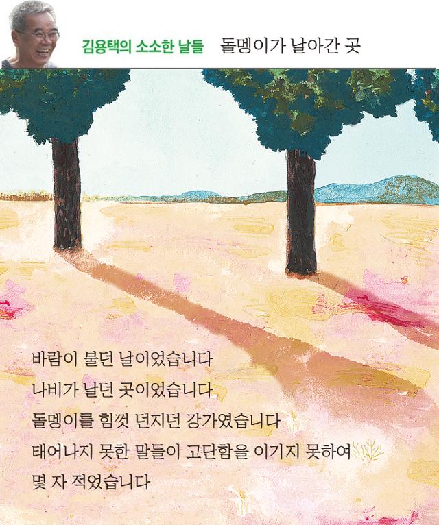 김용택의 소소한 날들