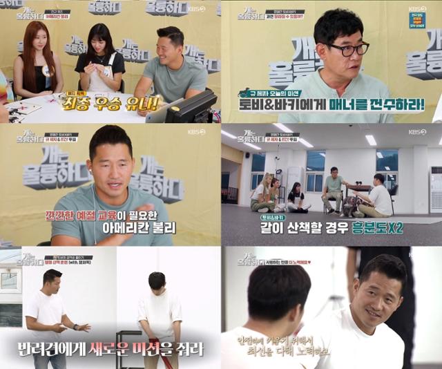 '개는 훌륭하다'가 반려견에 대한 정확한 이해와 통제의 중요성을 일깨웠다. KBS2 화면 캡처