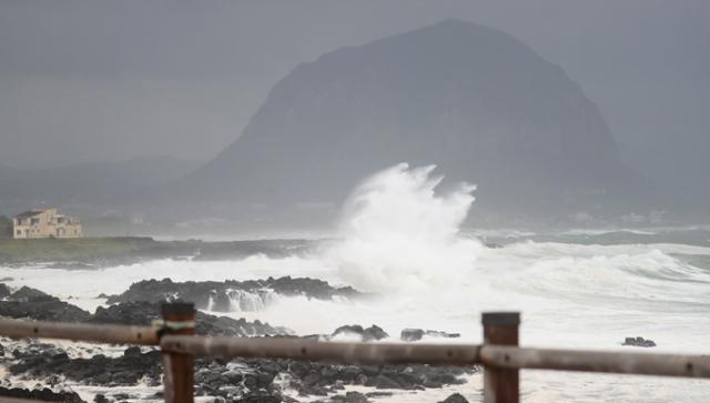 제주도가 제8호 태풍 '바비'의 직접 영향권에 들어간 26일 오전 제주 서귀포시 안덕면 사계리 해안가에 거대한 파도가 몰아치고 있다. 연합뉴스