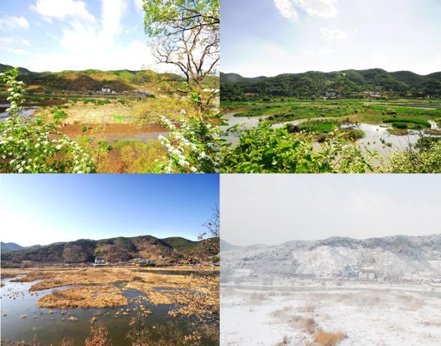 경남도 대표 생태관광지로 지정된 합천 '정양늪'의 사계. 경남도 제공