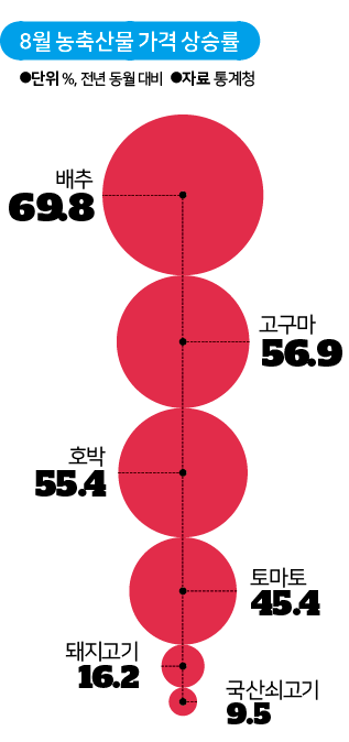 8월 농축산물 가격 상승률