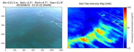 드론을 이용해 촬영한 전남 여수 해역의 적조에 대한 RGB 영상 사진(왼쪽)과, 이번에 개발된 기술로 추정한 적조의 강도(엽록소 농도를 통해 추정)를 보여 주는 사진. 부산대 제공.