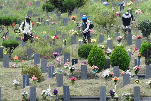 벌초대행서비스 모습. 한국일보 자료사진