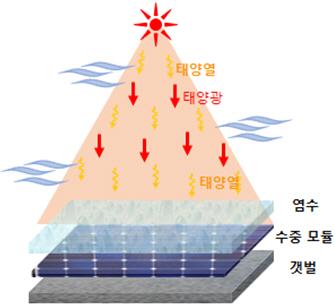 염전태양광 모듈 배치도. 한전 제공