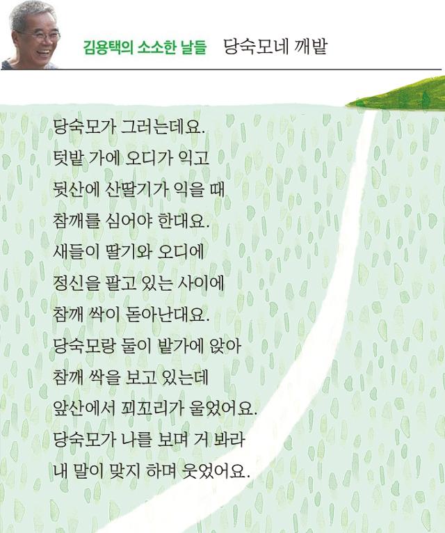 김용택의 소소한 날들