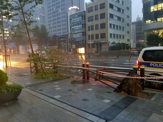 제10호 태풍 '하이선'이 북상하고 있는 가운데 7일 오전 부산 부산진구에서 강풍에 가로수가 쓰러졌다. 부산경찰청 제공