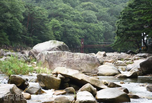 선암계곡 중선암 부근 풍광. 커다란 바위에 ‘사군강산 삼선수석’이라는 글씨가 새겨져 있다. 단양 영춘 제천 청풍 네 고을에서 상선암 중선암 하선암 풍광이 가장 빼어나다는 의미다.