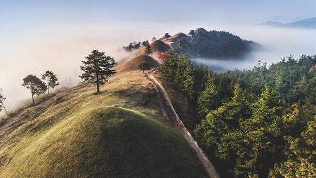 유네스코 세계유산에 등재 신청 예정인 '가야고분군' 가운데 고령 지산동 고분군의 전경. 문화재청 제공