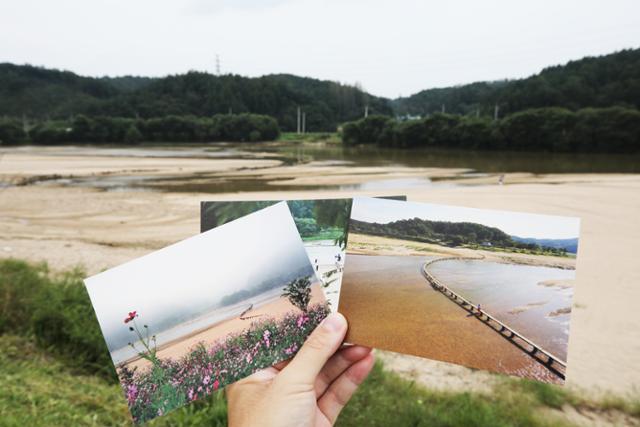 영주 무섬마을을 상징하는 외나무다리가 최근 연이은 태풍과 폭우로 쓸려내려가고 말았다. 안타깝게도 외나무다리는 사진으로 만족할 수 밖에 없었지만, 전통을 간직한 강변마을의 정취는 그대로 남아 있다. ⓒ박준규