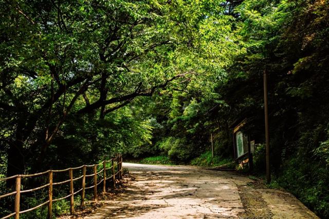 남한산성 제1탐방로의 한 구간. 추석연휴 이후 콘크리트포장을 걷어내고 재시공한다. 남한산성세계문화유산센터 제공