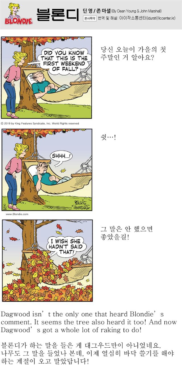 블론디토요일자