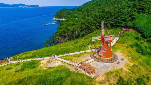 경남 거제시 갈곶리의 명소 '바람의 언덕'. 한국일보 자료사진