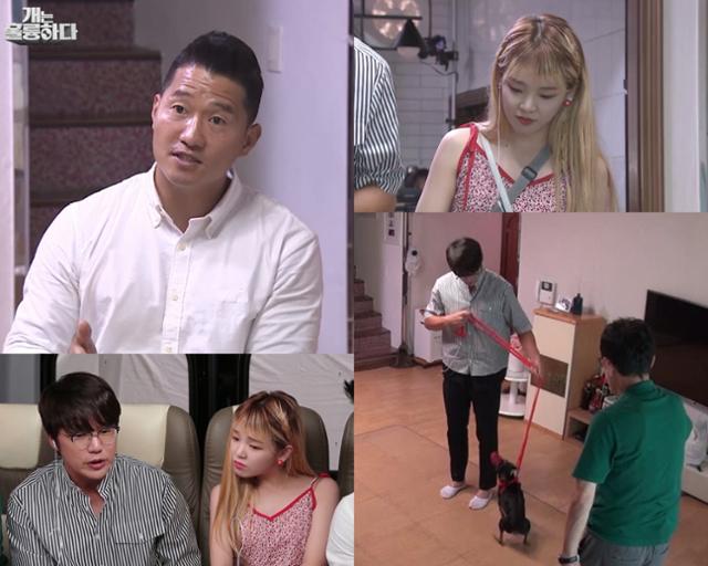 오마이걸 승희가 '개훌륭'에 출격한다. KBS 2 제공