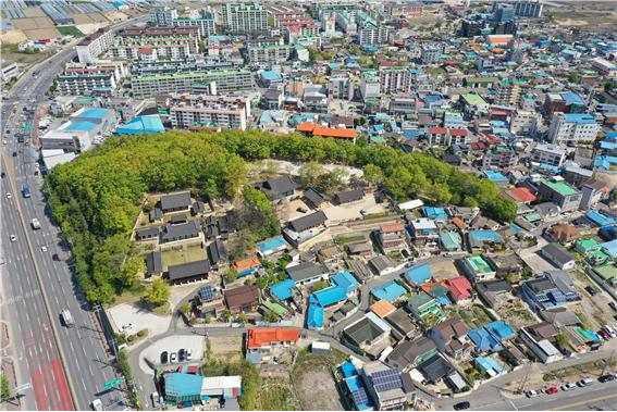 포항 흥해향교 이팝나무 군락 조감 사진. 문화재청 제공