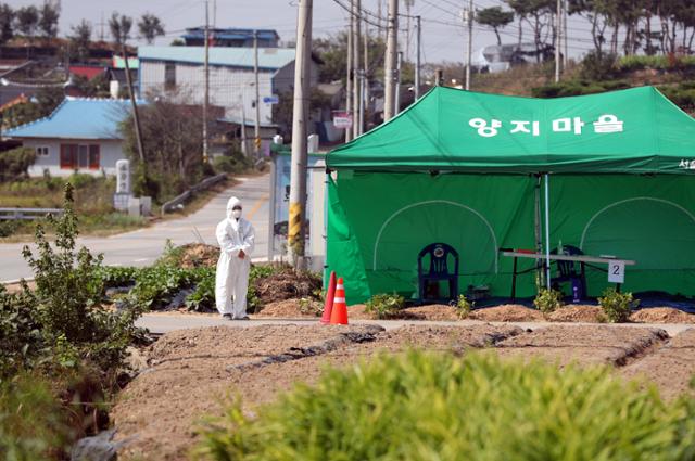 코로나19 집단 발병으로 동일 집단격리(코호트 격리) 조처가 내려진 지난 7일 전북 정읍시 정우면 양지마을. 보건 당국 관계자가 마을 주변을 통제하고 있다. 연합뉴스