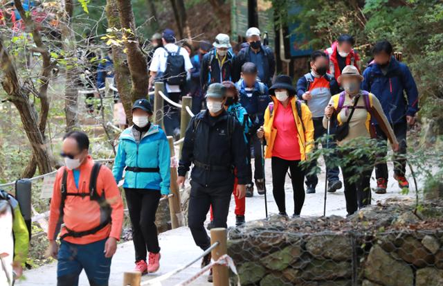 코로나19로 인한 사회적 거리두기 1단계 완화 후 첫 주말인 18일 서울 서초구 청계산 등산로에서 등산객들이 산을 오르고 있다. 방역당국은 11월 15일까지 국공립공원과 주변 밀집 지역에 출입금지선을 설치하는 등 관광객 밀집이 우려되는 관광지에 대한 방역 관리를 강화할 계획이다. 뉴스1