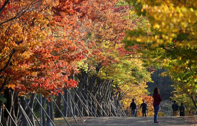 (울산=뉴스1) 완연한 가을 날씨를 보인 20일 오후 울산 남구 문수체체육공원을 찾은 시민들이 울긋불긋 물든 단풍을 보며 가을 정취를 만끽하고 있다.