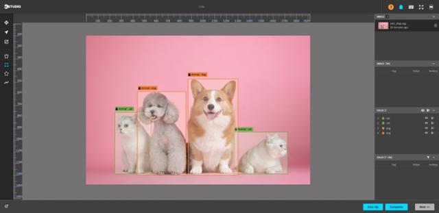 데이터 라벨링 작업 예시로 고양이와 강아지로 분류해 표시되고 있다. 에이아이스튜디오 제공