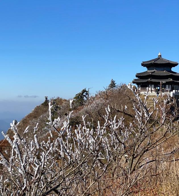 23일 전북 무주군 덕유산국립공원에 올가을 첫 상고대가 맺혀 있다. 덕유산 상고대는 매년 10월 말께 관측된다. 연합뉴스