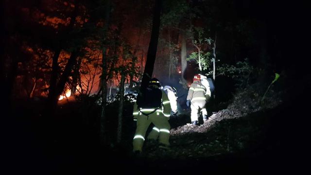 산불진화대원들이 24일 오후 10시29분께 강원 삼척시 노곡면 고자리 산불을 진화하기 위해 현장에 접근하고 있다.뉴시스