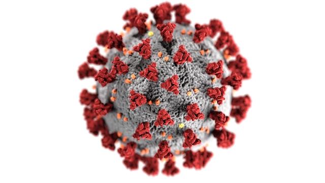 코로나19 바이러스 모형. 미국 질병통제예방센터(CDC ) 제공