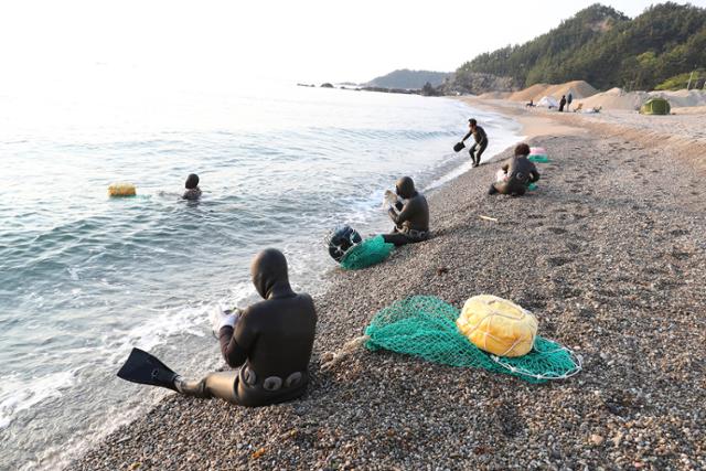 경북 동해안에서 해녀들이 물질 준비를 하고 있다. 경북도 제공