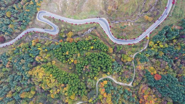 26일 지리산 가는 길목인 경남 함양군 오도재 명품 단풍길이 오색단풍으로 붉게 물들어 아름다움을 연출하고 있다.