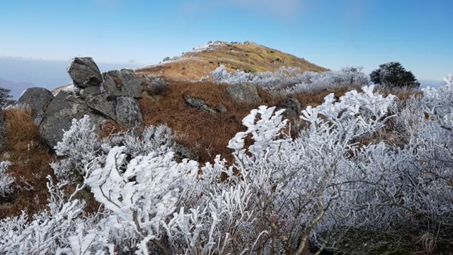 지난달 23일 전북 무주군 덕유산국립공원에 올 가을 첫 상고대가 맺혀 있다. 무주=연합뉴스