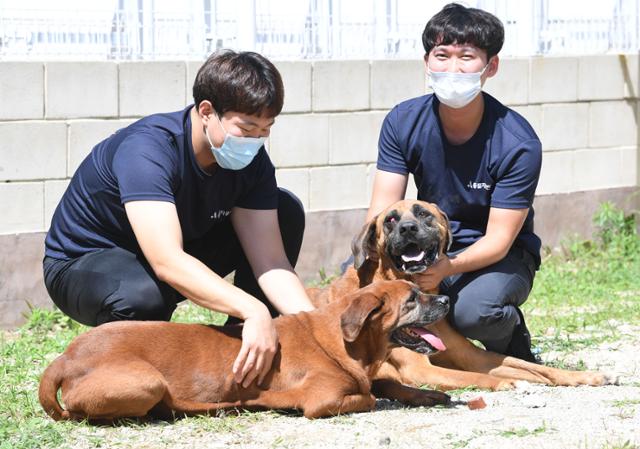 경기 남양주시 화도읍 동물자유연대 온센터의 활동가들과 구조한 개들. 한국일보 자료사진