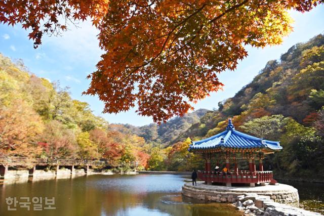 우화정은 내장산 단풍이 정점을 찍는 곳이다. 주변 풍광이 수면에 비쳐 화려함이 배가된다.