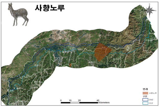 사향노루 서식지 분포지도. 국립생태원 제공