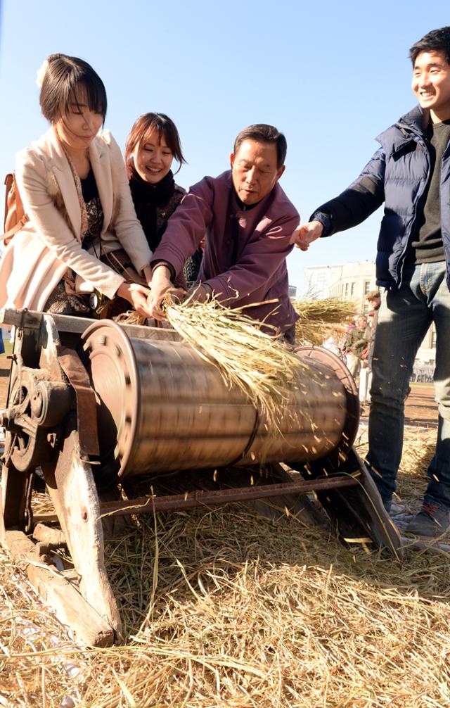 2013년 11월 11일 농업인의 날을 맞아 농림축산식품부가 서울 시청광장에 마련한 농업체험 행사에서 시민들이 탈곡기로 벼를 탈곡 하며 즐거워하고 있다. 한국일보 자료사진