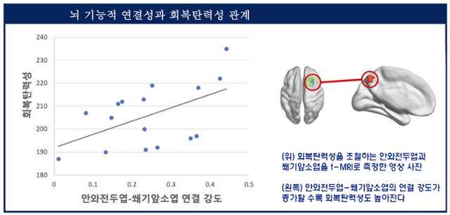 뇌 기능적 연결성과 회복 탄력성 관계