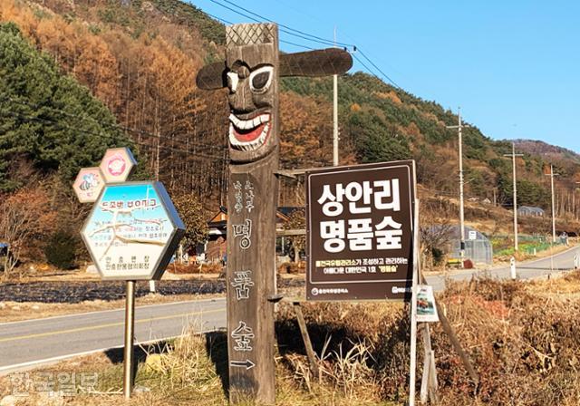 문재옛길 입구. 국도 변에 '상안리 명품숲'이라는 팻말이 붙어 있지만 내비게이션에 등록돼 있지 않다.